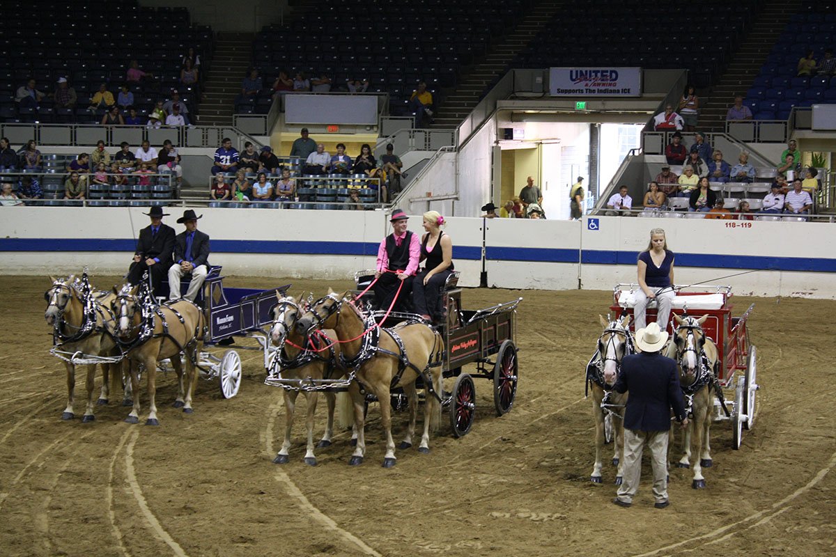 Horse-Drawn Wagon Competition, State Fair Coliseum, 2012. James Glass.